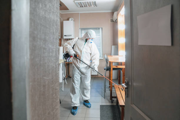  Santa Anna, TX Mold Removal Pros